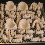 Stampanti 3D - Prototipo protesi dentale realizzato con la stampante 3D Systems ProJet 6000-7000