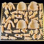 Protesi dentali in stereolitografia realizzato con la stampante 3D Systems ProX 950